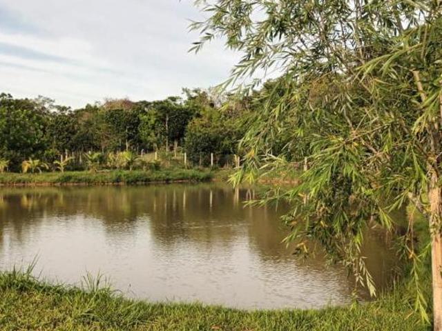 Sítio e chácara venda em Região Geográfica Imediata de Porto Alegre, Região Metropolitana de Porto Alegre