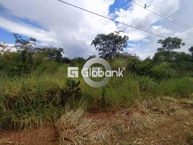 Sítio e chácara venda em Montes Claros, Região Geográfica Intermediária de Montes Claros