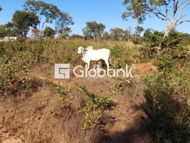 Sítio e chácara venda em Ubaí, Região Geográfica Intermediária de Montes Claros