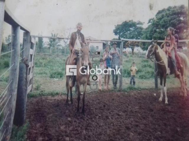 Sítio e chácara venda em Varzelândia