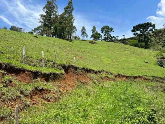 Fazenda venda em Região Imediata de Taubaté-Pindamonhangaba, Região Metropolitana do Vale do Paraíba e Litoral Norte