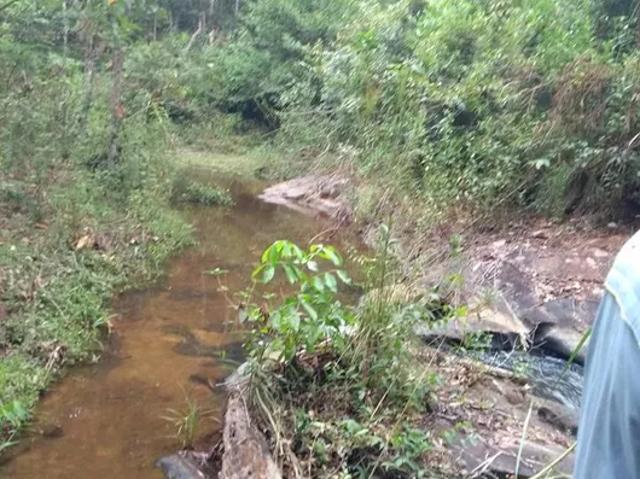 Fazenda venda em Região Geográfica Imediata de Juiz de Fora, Bias Fortes