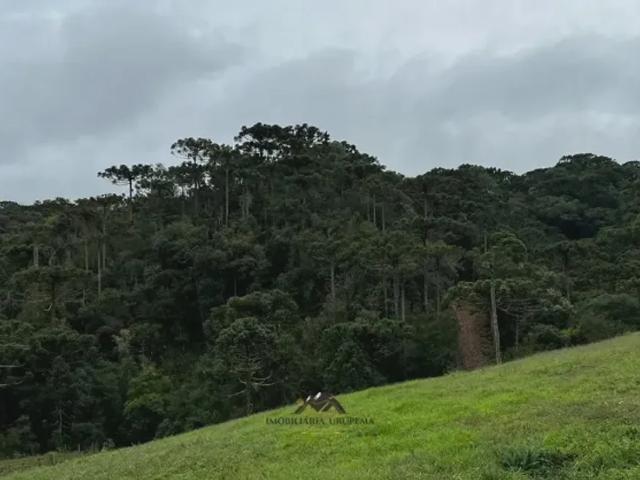 Fazenda venda em Região Geográfica Imediata de Lages, Urubici