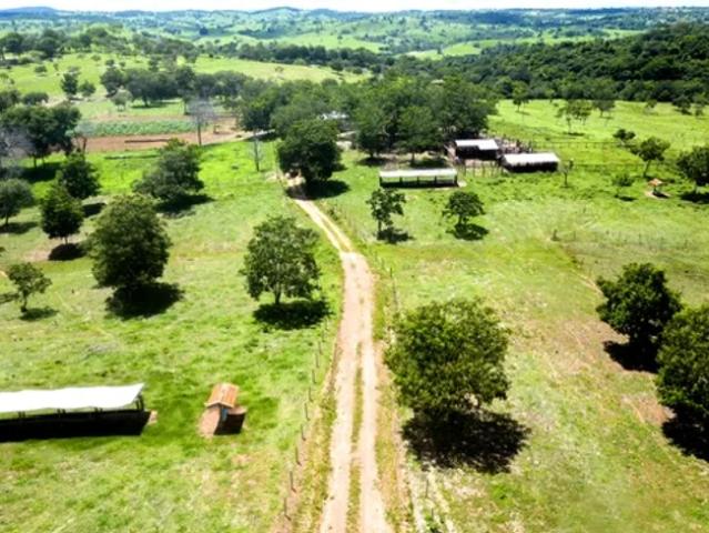 Fazenda venda em Região Geográfica Imediata de Ceres - Rialma - Goianésia, Nova América
