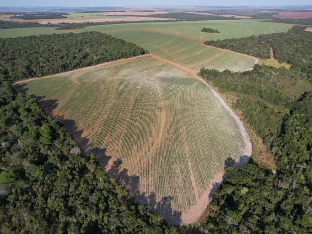 Fazenda venda em Região Geográfica Imediata de Jataí-Mineiros, Aporé