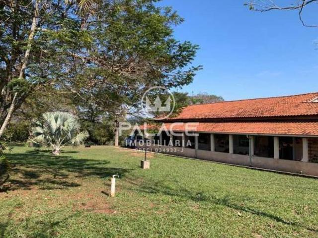 Sítio e chácara venda em São Pedro