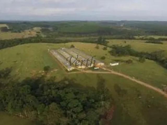 Fazenda venda em Alambari