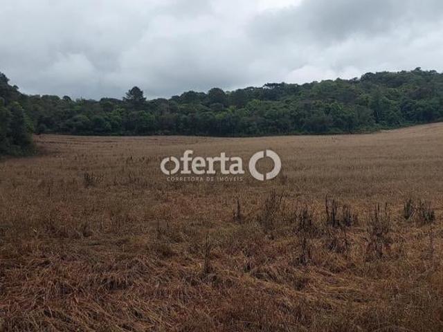 Terreno venda em Região Geográfica Imediata de Curitiba, Região Metropolitana de Curitiba