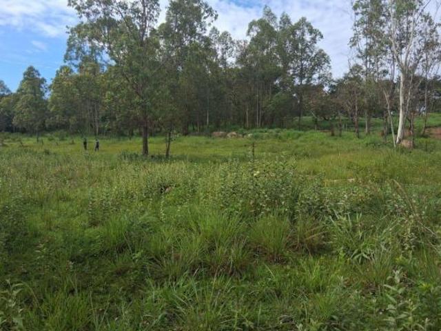 Sítio e chácara venda em Região Geográfica Imediata de Sete Lagoas, Jequitibá