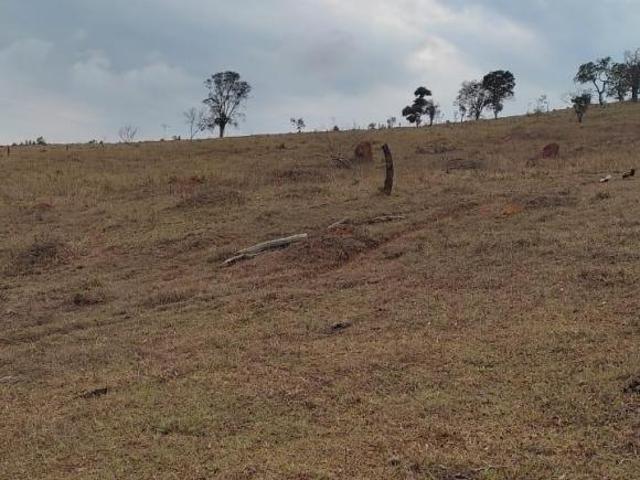 Sítio e chácara venda em Piedade dos Gerais, Região Geográfica Intermediária de Divinópolis