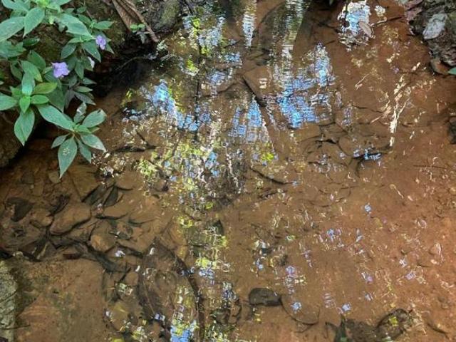 Sítio e chácara venda em Jaboticatubas, Região Geográfica Intermediária de Belo Horizonte