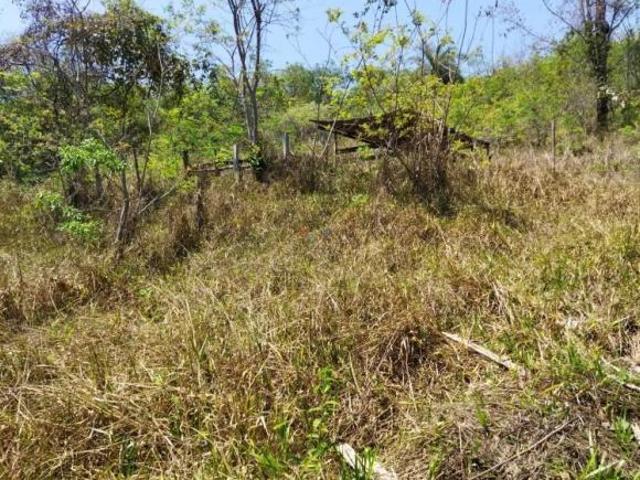 Sítio e chácara venda em Região Geográfica Imediata de Belo Horizonte, Região Metropolitana de Belo Horizonte