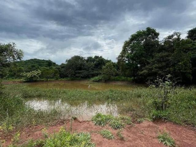 Sítio e chácara venda em Região Geográfica Imediata do Distrito Federal, Região Integrada de Desenvolvimento do Distrito Federal e Entorno