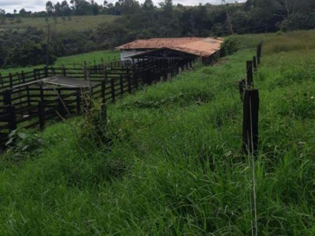 Sítio e chácara venda em Região Geográfica Imediata de Águas Lindas de Goiás, Região Integrada de Desenvolvimento do Distrito Federal e Entorno