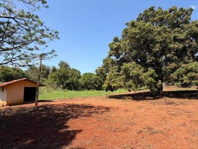 Sítio e chácara venda em Paraopeba, Região Geográfica Intermediária de Belo Horizonte