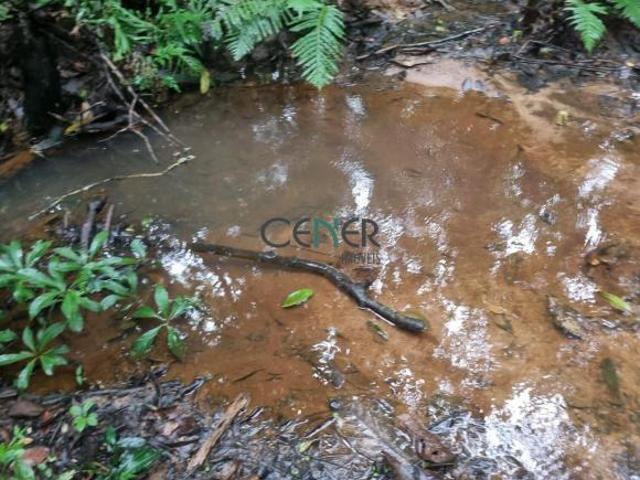 Sítio e chácara venda em Centro, Matozinhos