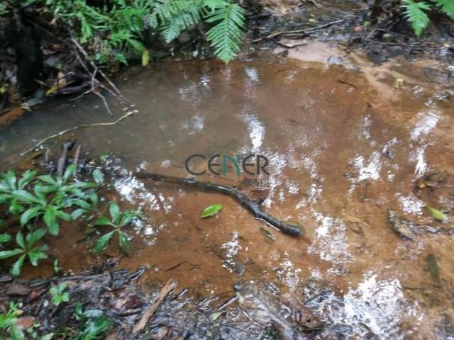Sítio e chácara venda em Região Geográfica Imediata de Sete Lagoas, Região Metropolitana de Belo Horizonte