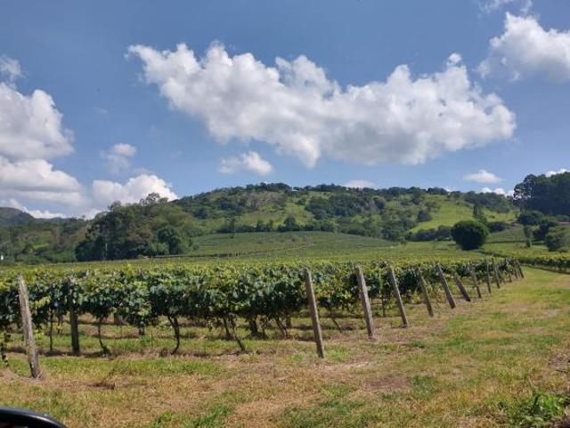 Sítio e chácara venda em Região Geográfica Imediata de Poços de Caldas, Andradas