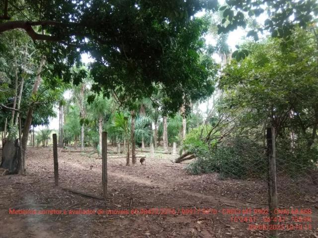 Fazenda venda em Região Geográfica Imediata de Cuiabá, Região Metropolitana do Vale do Rio Cuiabá