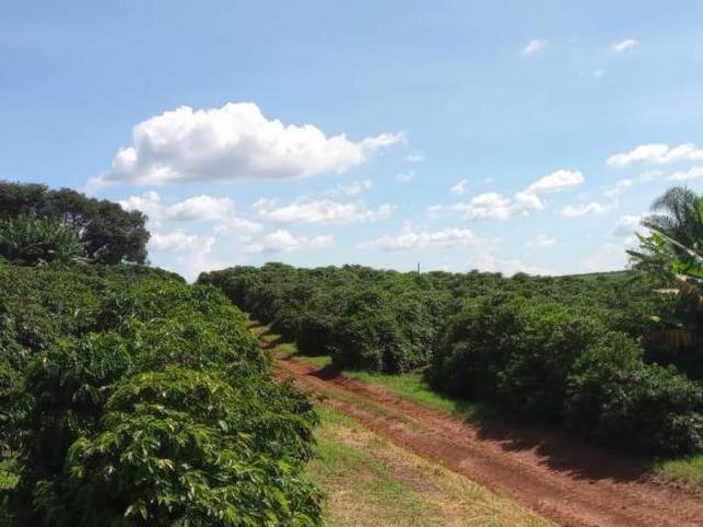 Sítio e chácara venda em Região Geográfica Imediata de Três Corações, Campanha