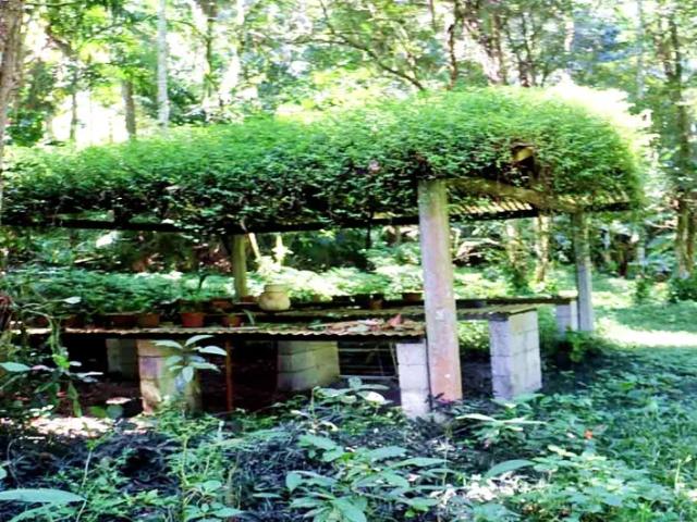 Fazenda venda em Região Geográfica Imediata de Nova Friburgo, Duas Barras