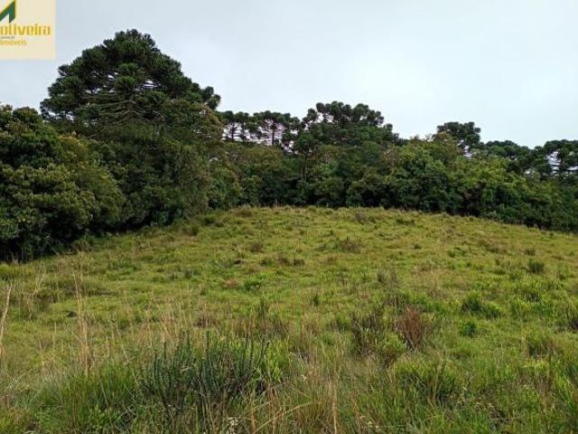 Sítio e chácara venda em Região Geográfica Imediata de Caxias do Sul, Cambara do Sul