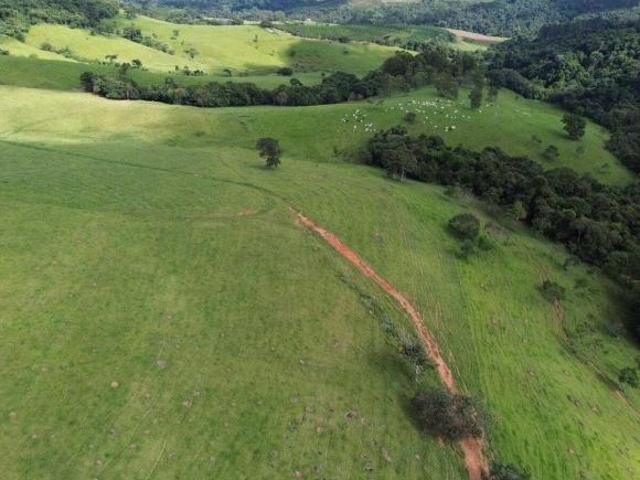 Sítio e chácara venda em Região Geográfica Imediata de Guaxupé, Muzambinho