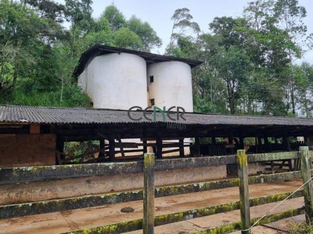Sítio e chácara venda em Região Geográfica Imediata de Barbacena, Barbacena