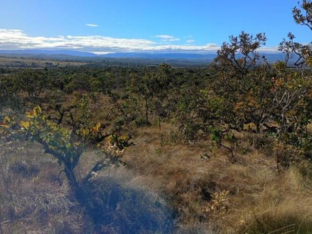 Sítio e chácara venda em Região Geográfica Imediata de Sete Lagoas, Santana do Riacho