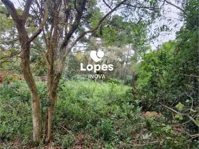 Terreno venda em Região Geográfica Imediata de Curitiba, Região Metropolitana de Curitiba