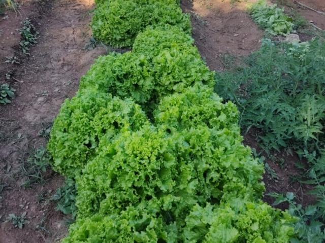 Fazenda venda em Região Geográfica Imediata de Dores do Indaiá, Pompéu