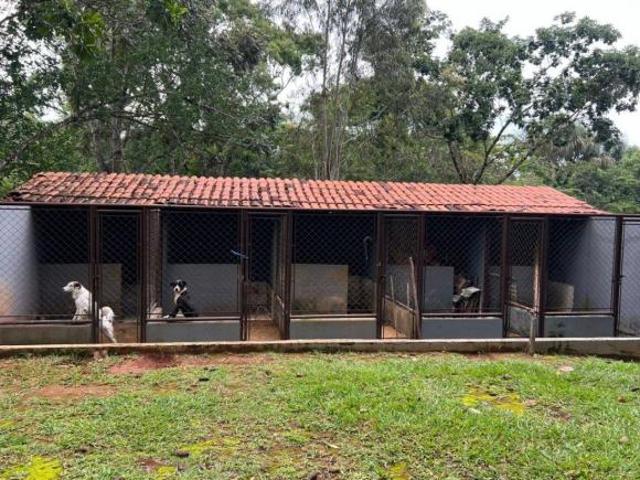 Sítio e chácara venda em Região Geográfica Imediata de Luziânia, Região Integrada de Desenvolvimento do Distrito Federal e Entorno
