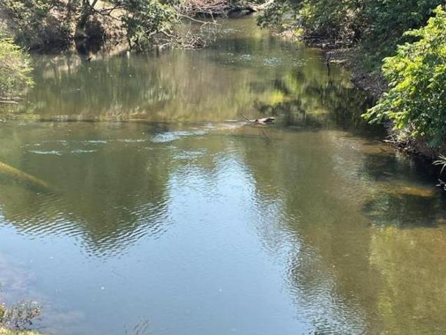 Sítio e chácara venda em Região Geográfica Imediata de Sete Lagoas, Santana do Riacho