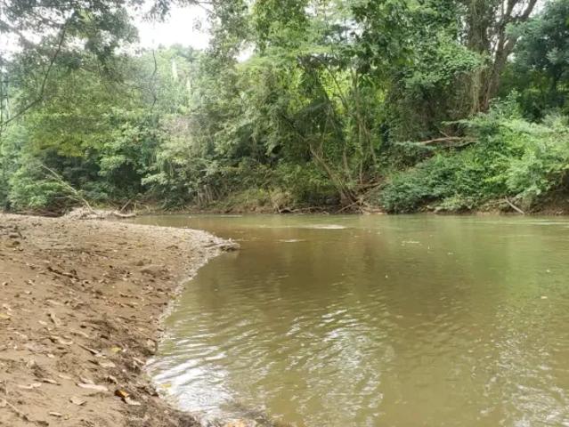 Fazenda venda em Região Geográfica Imediata de Águas Lindas de Goiás, Região Integrada de Desenvolvimento do Distrito Federal e Entorno