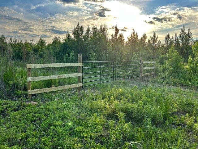 Land for sale in Hemingway, South Carolina