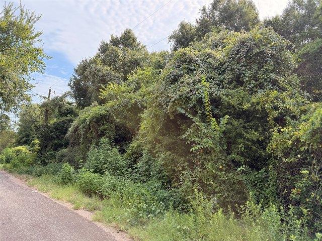 Land for sale in Fairfield, Texas
