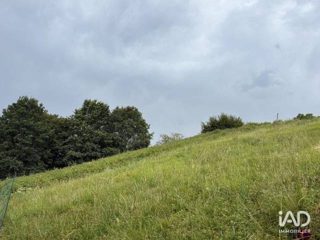 Terrain vente à Oloron-Sainte-Marie, Féas