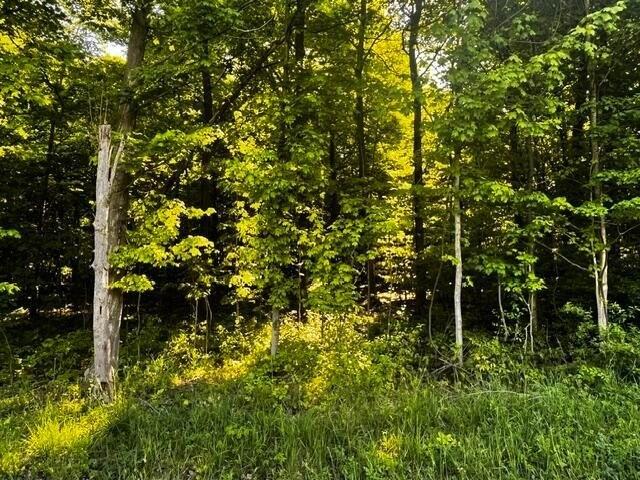 Land for sale in Mount Vernon, Ohio