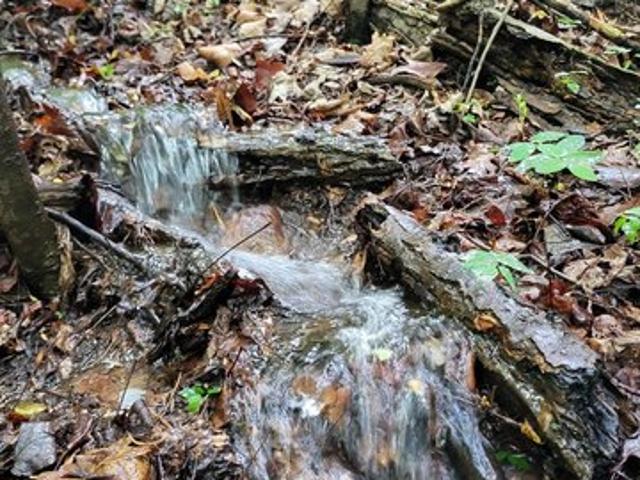 Land for sale in Hedgesville, West Virginia
