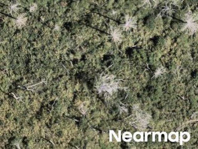 Land for sale in Paradise, California