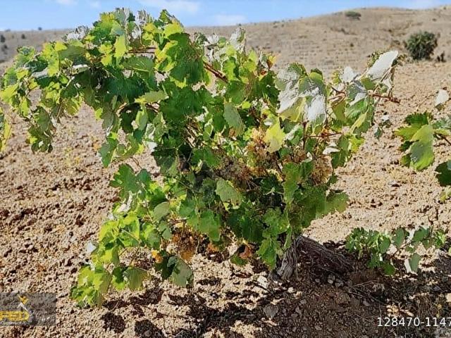 Ürgüp, Nevşehir içerisinde satılık mülk