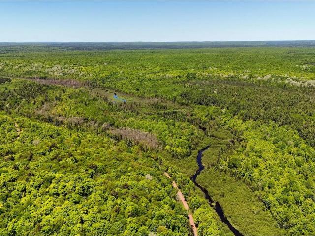 Land for sale in Michigan