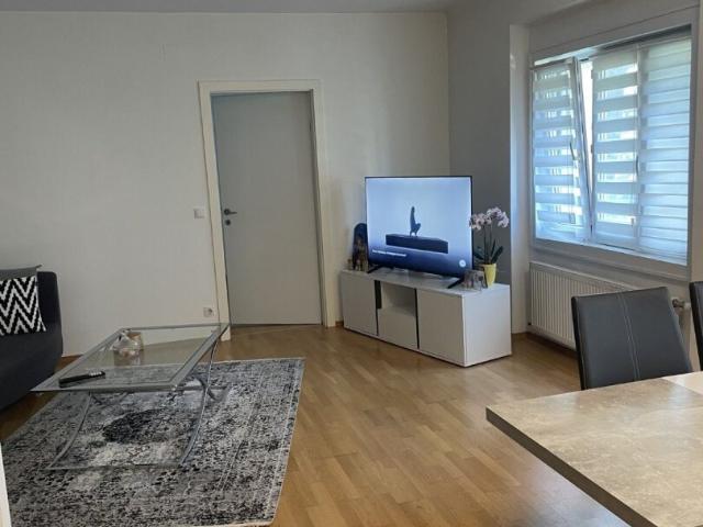 Apartment mieten in Baden, Niederösterreich