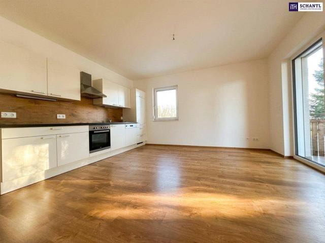 Apartment mieten in Großsulz, Steiermark