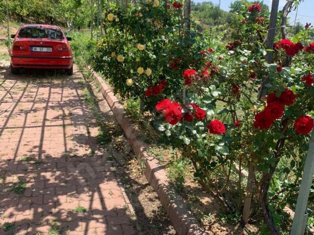 Kayapınar, Felahiye içerisinde satılık mülk