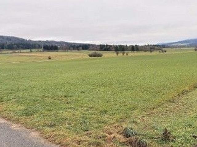 Immobilie kaufen in Plateau de Diesse, Bern