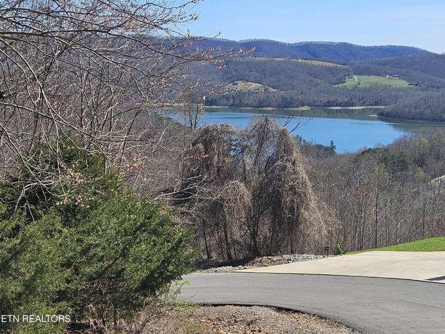 Land for sale in Tennessee