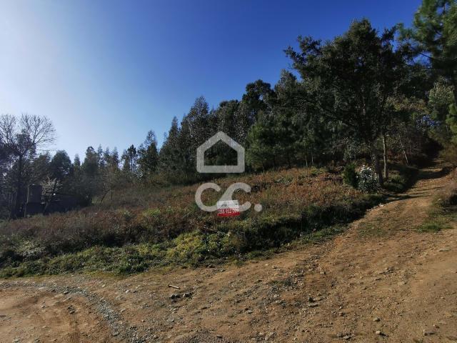 Terreno venda em Felgueiras, Porto