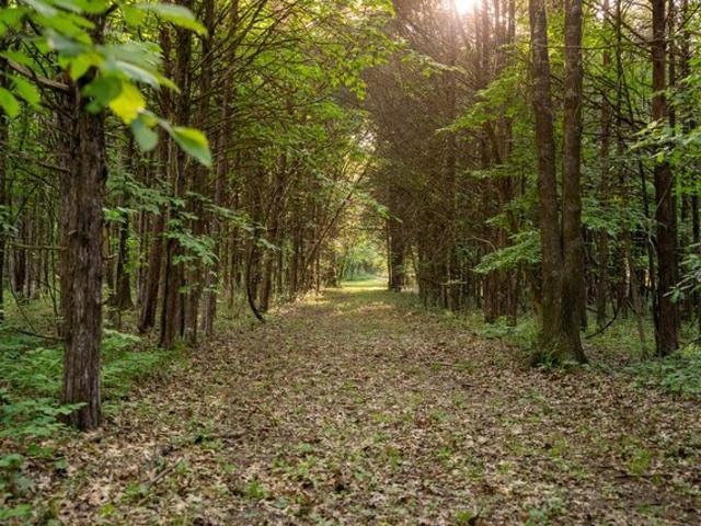 Farm for sale in Tennessee