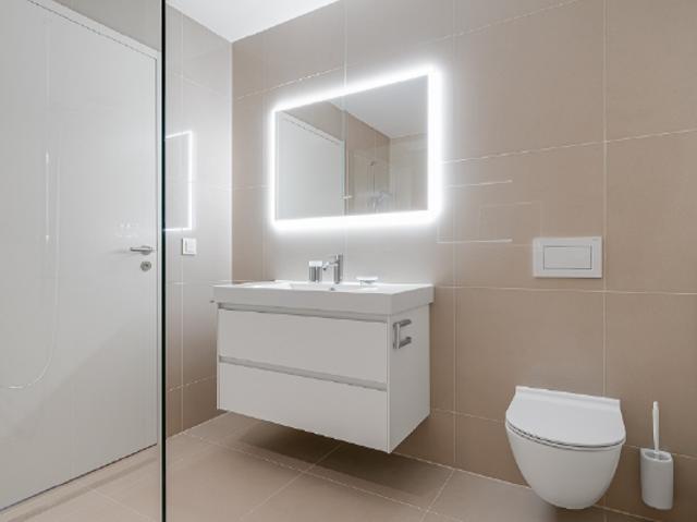 Apartment mieten in Horw